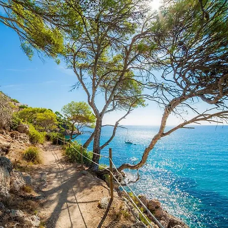Massanet Ba Apartment Canyamel (Mallorca)
